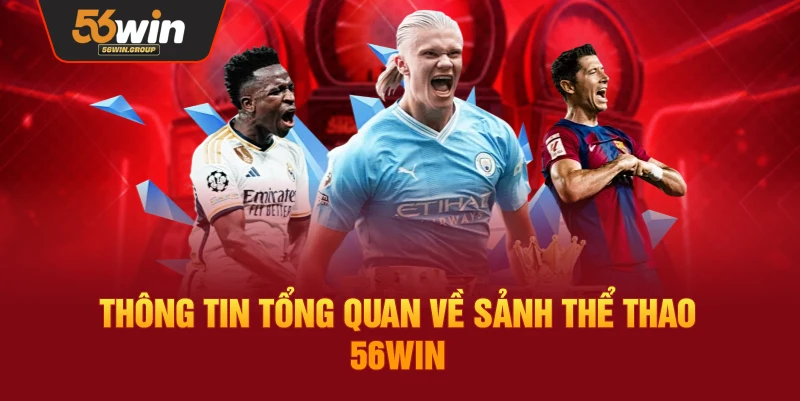 Tổng quan chi tiết về sân chơi cá cược thể thao 56WIN